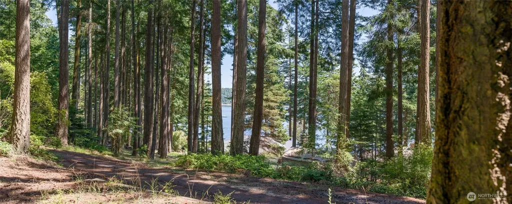 0 Captain Leison Lane Lopez Island WA 98261
