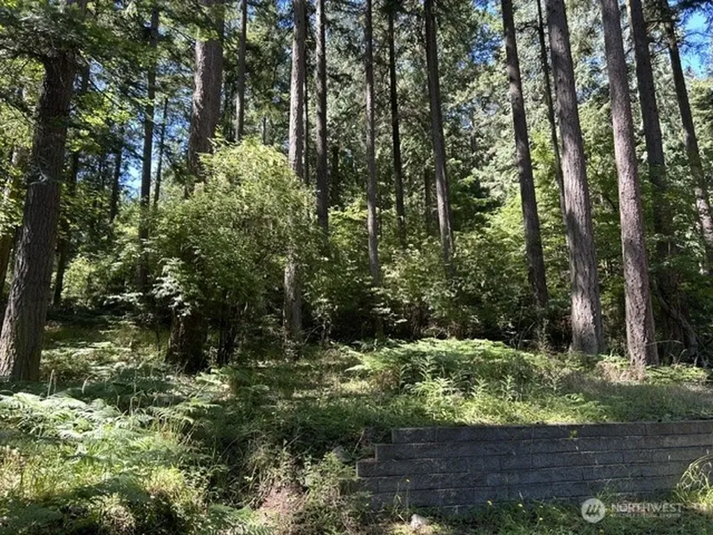 0 Captain Leison Lane Lopez Island WA 98261