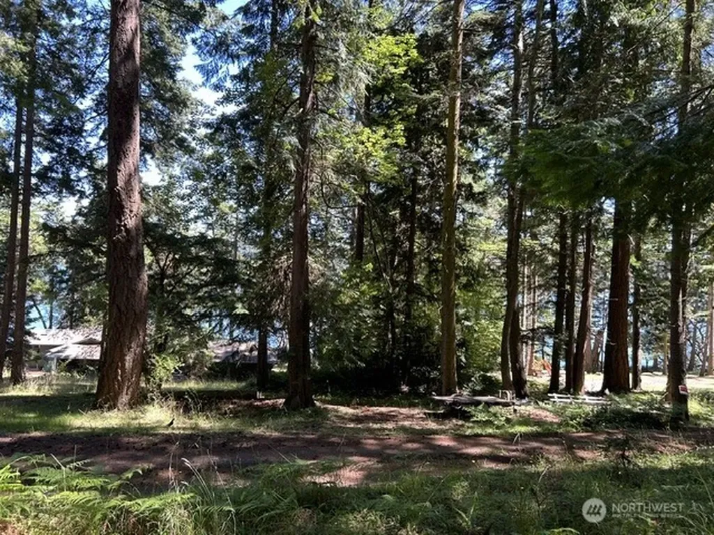 0 Captain Leison Lane Lopez Island WA 98261