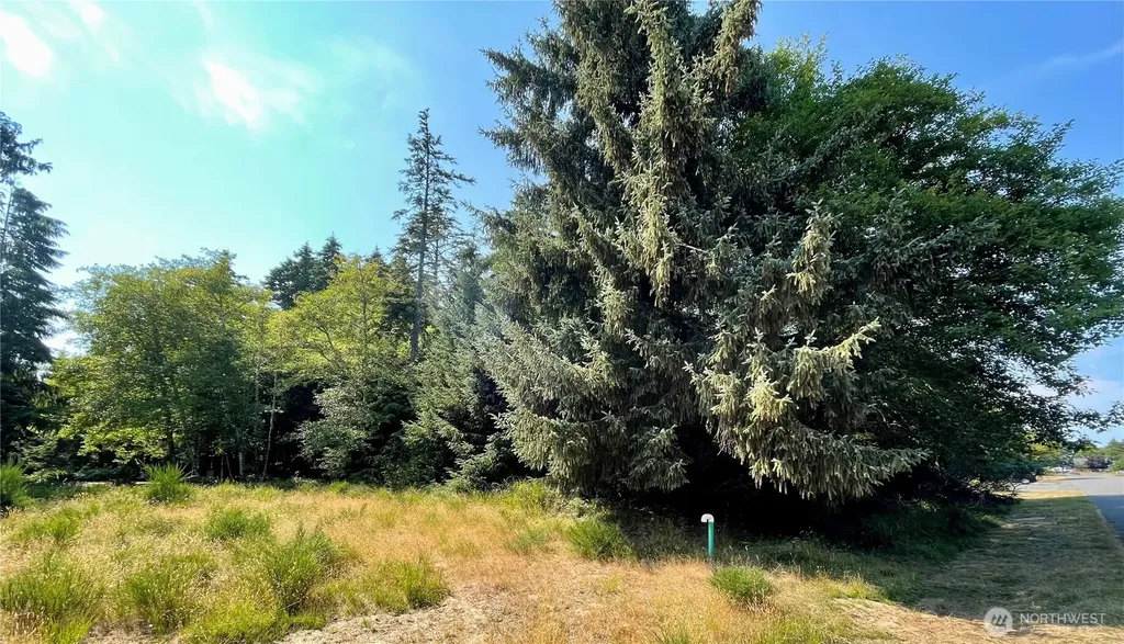 163 Olympic View Avenue NE Ocean Shores WA 98569