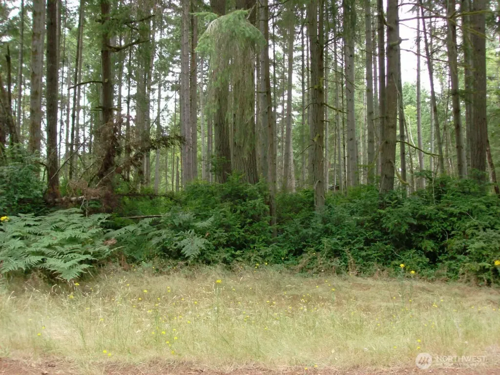 10810 Madrona Drive Anderson Island WA 98303