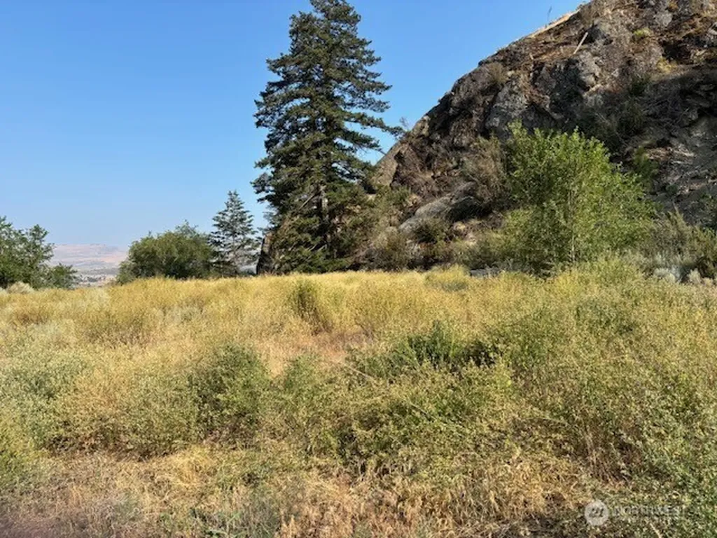 1 Shirley Road N Oroville WA 98844