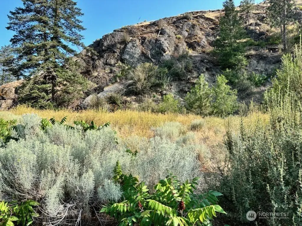 1 Shirley Road N Oroville WA 98844