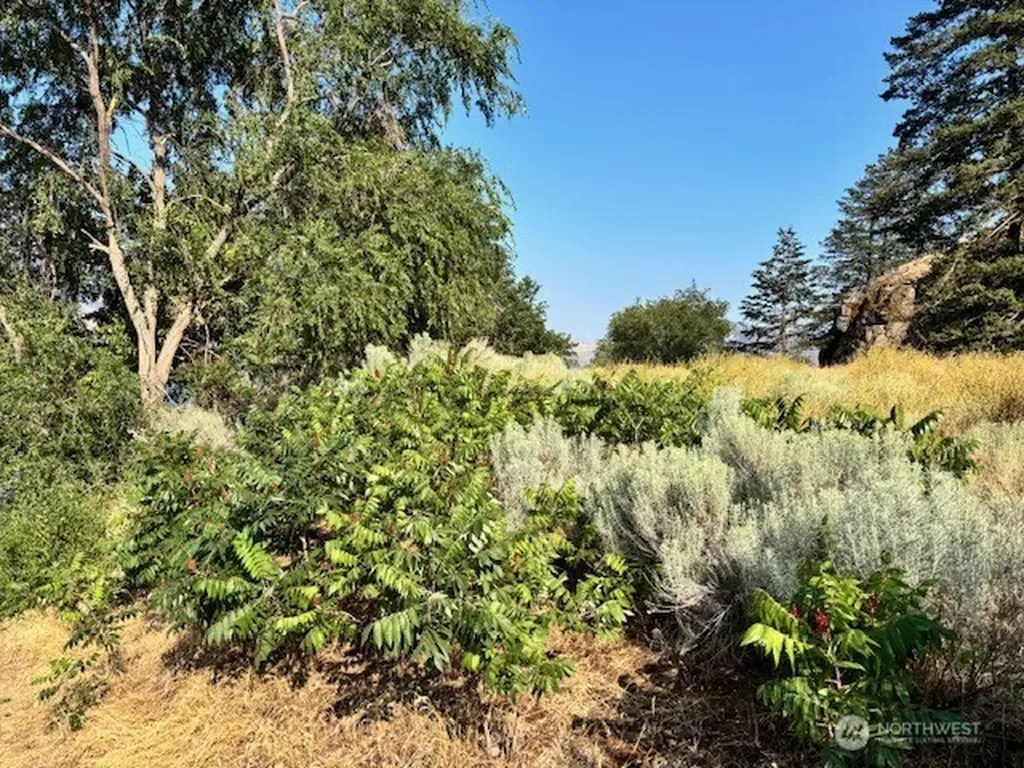 1 Shirley Road N Oroville WA 98844