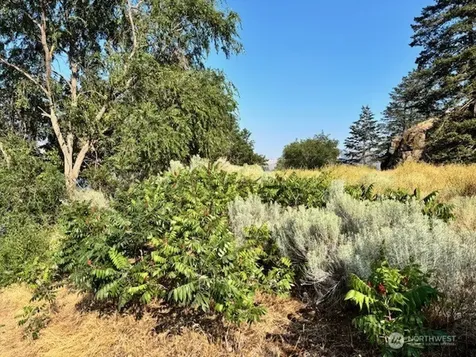 1 Shirley Road N Oroville WA 98844