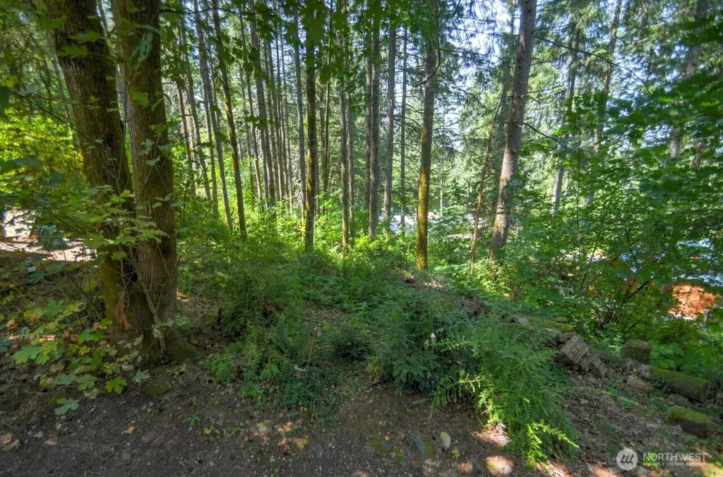 1546 Reservation Road SE Olympia WA 98513