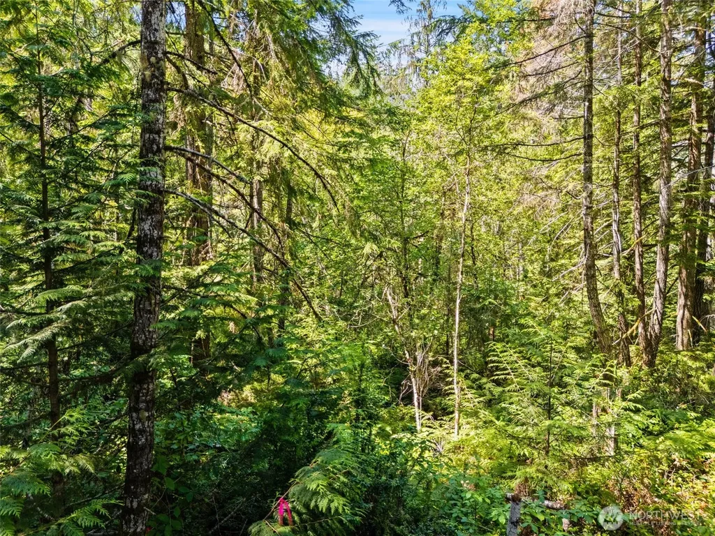 0 E Glenwood Drive Union WA 98592