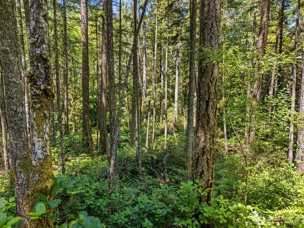 0 E Glenwood Drive Union WA 98592
