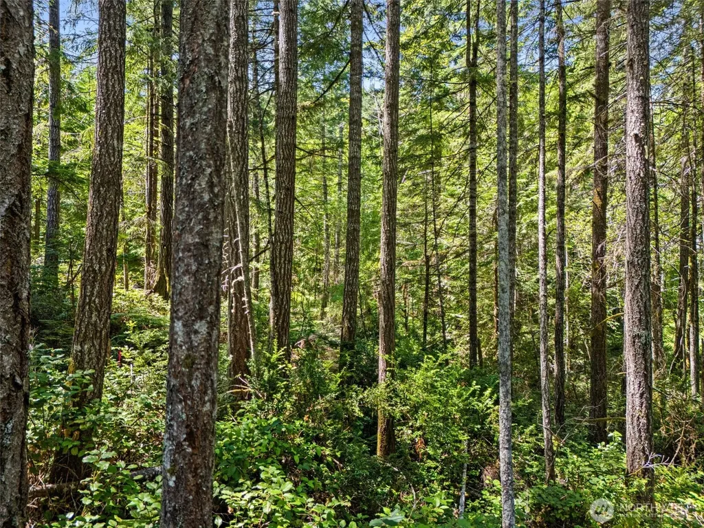0 E Glenwood Drive Union WA 98592
