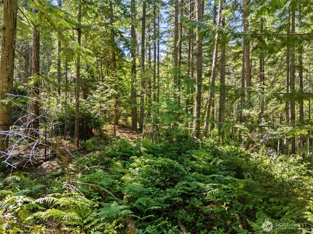 0 E Glenwood Drive Union WA 98592
