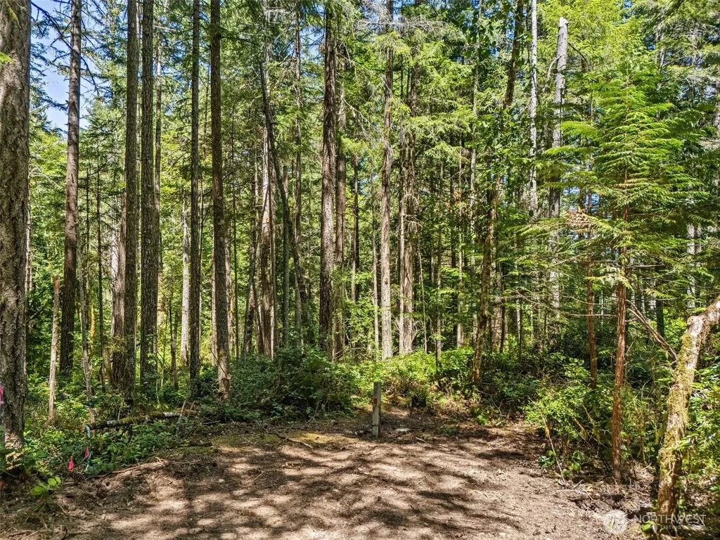 0 E Glenwood Drive Union WA 98592