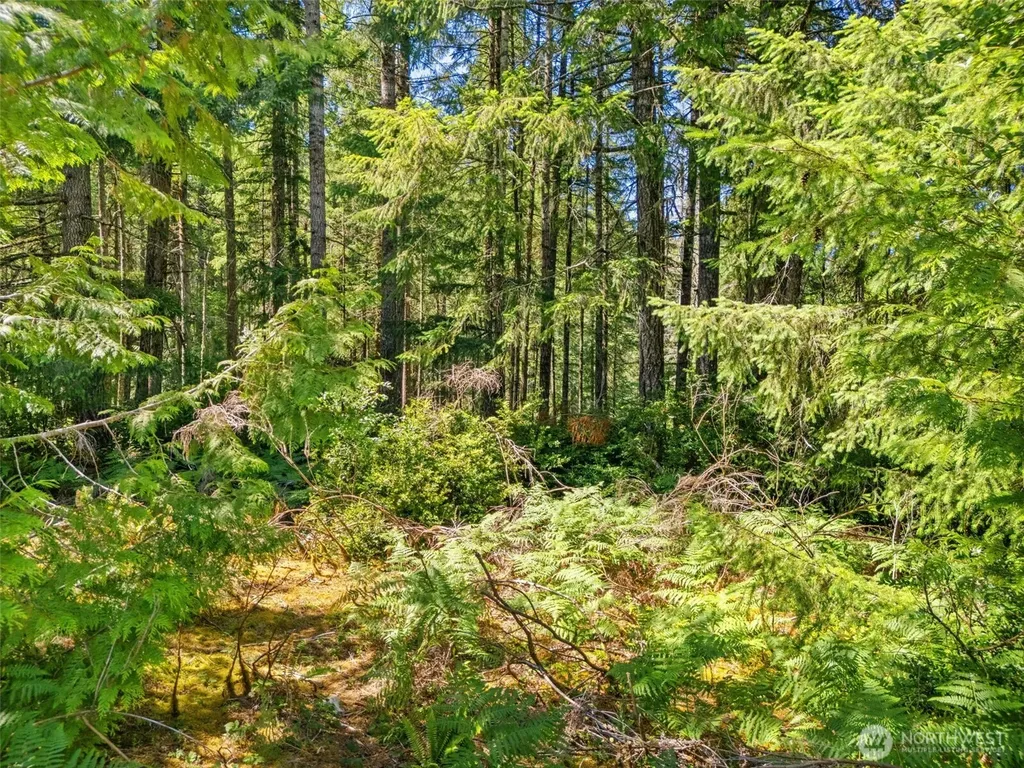 0 E Glenwood Drive Union WA 98592