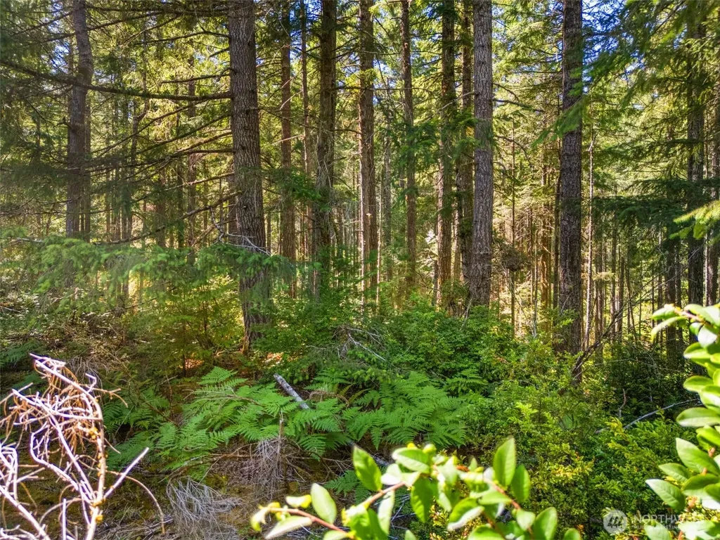 0 E Glenwood Drive Union WA 98592