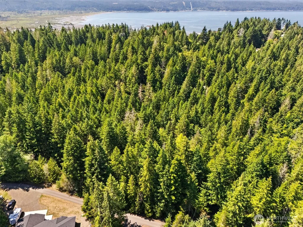 0 E Glenwood Drive Union WA 98592