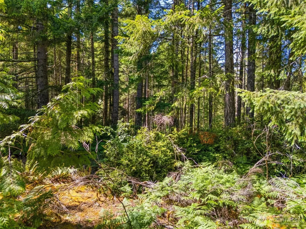 0 E Glenwood Drive Union WA 98592