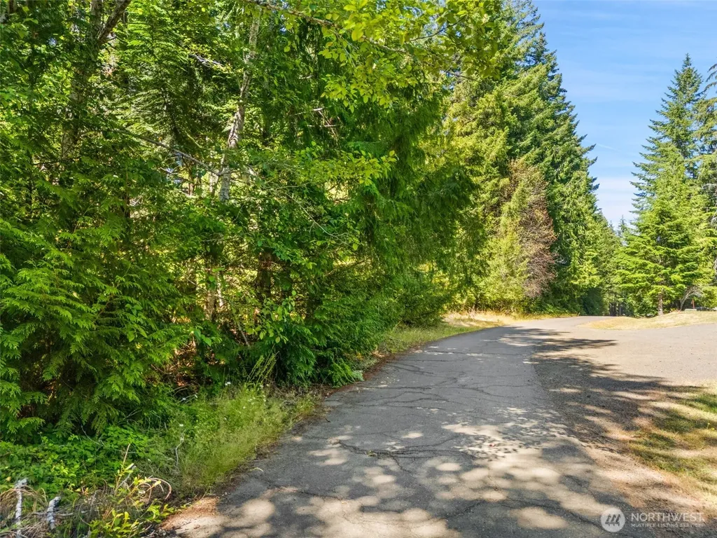 0 E Glenwood Drive Union WA 98592