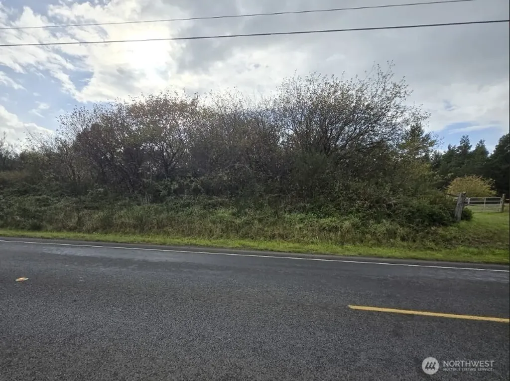 4717 State Route 105 S Grayland WA 98547