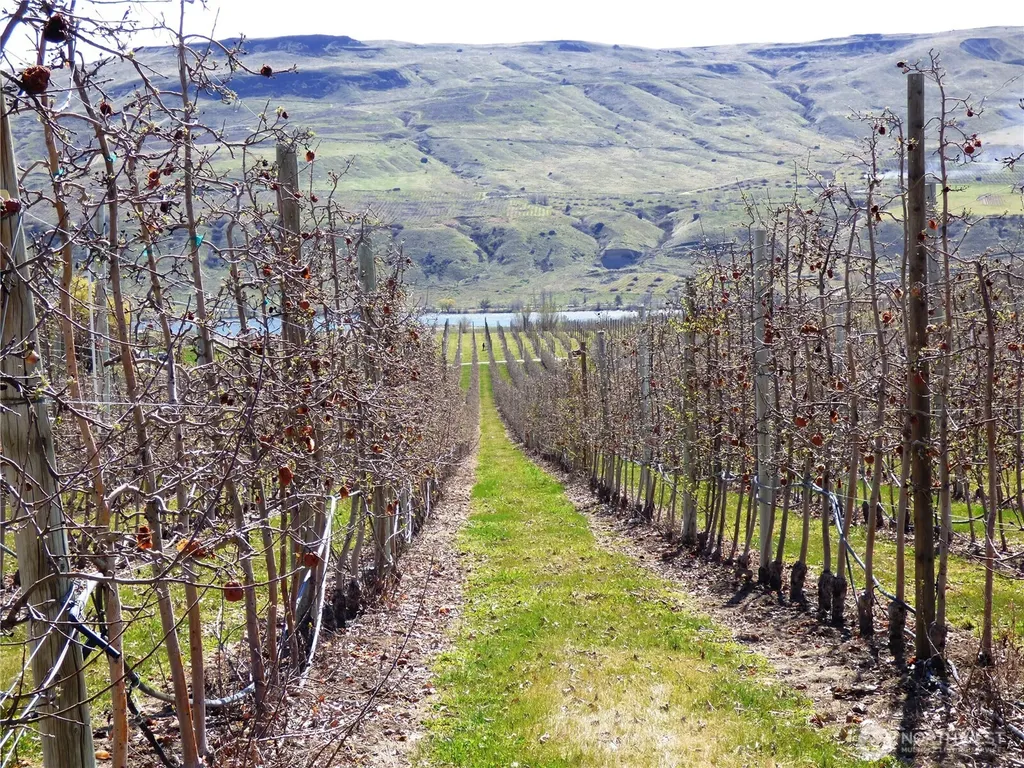 618 Jack Wells Road Bridgeport WA 98813