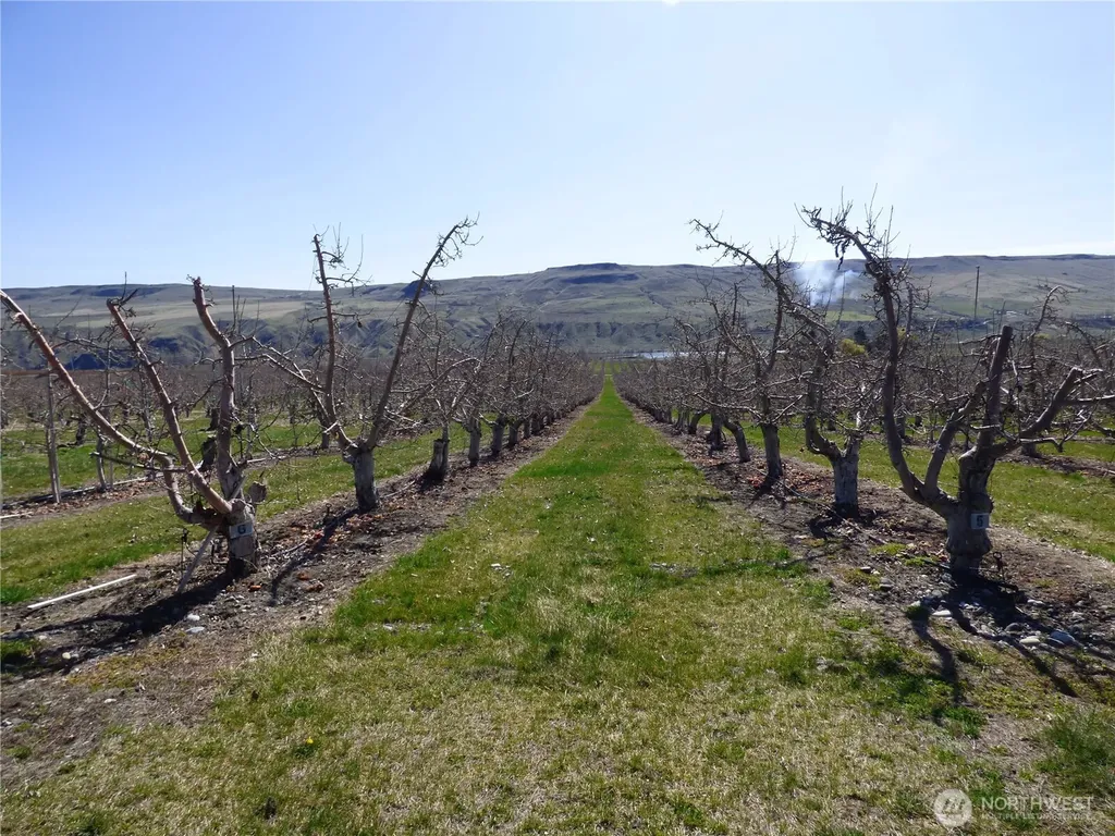 618 Jack Wells Road Bridgeport WA 98813