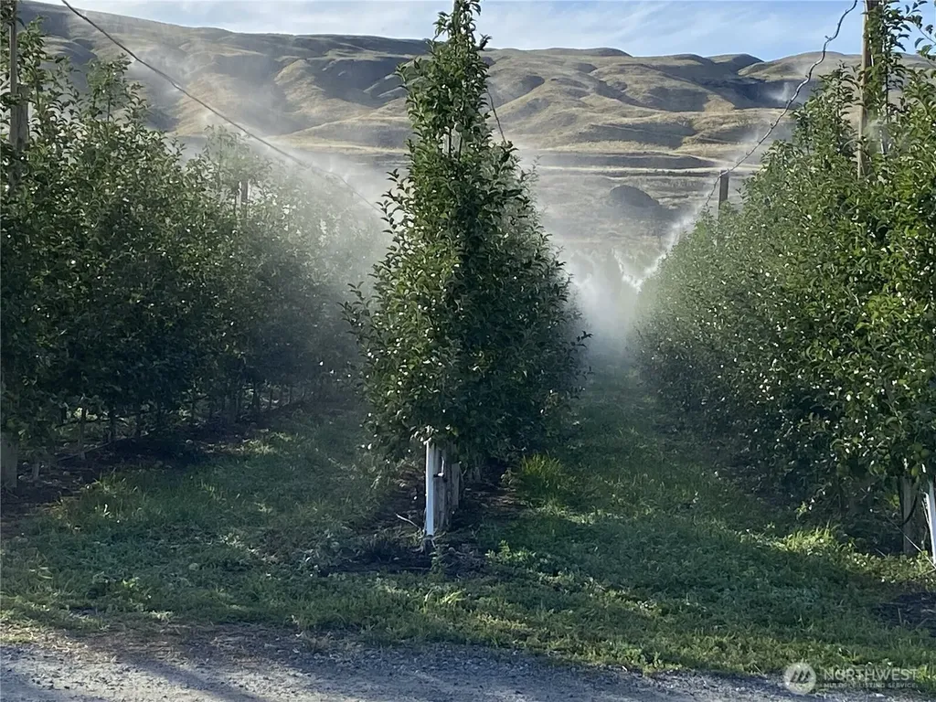 618 Jack Wells Road Bridgeport WA 98813