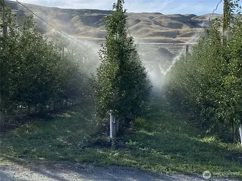 618 Jack Wells Road Bridgeport WA 98813