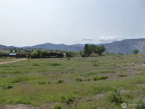 5 Roses View Lane Manson WA 98831