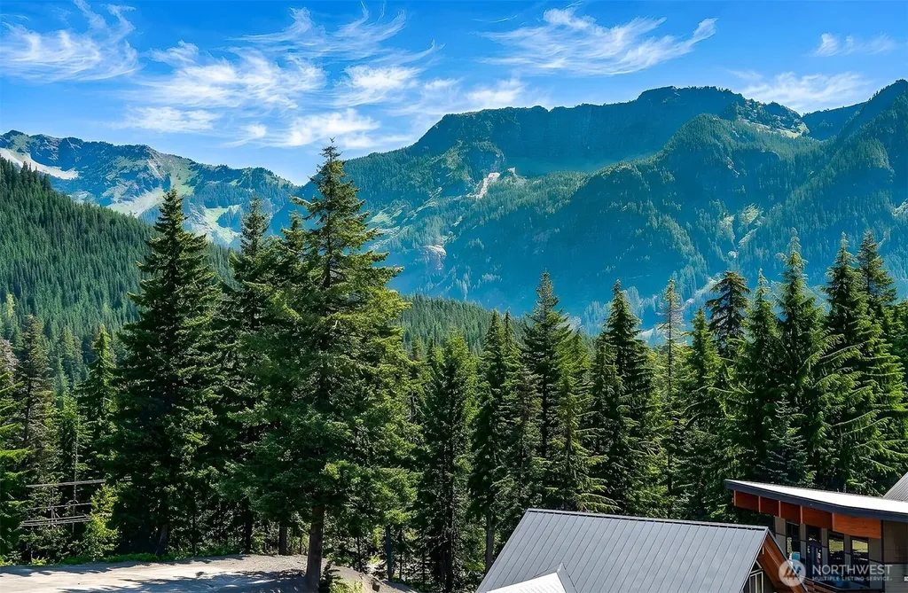 220 Tanner Way Snoqualmie Pass WA 98068