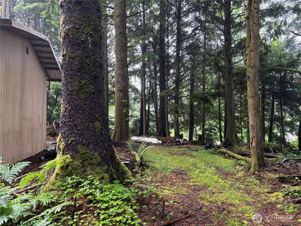 33 Oceanview Drive N Taholah WA 98587