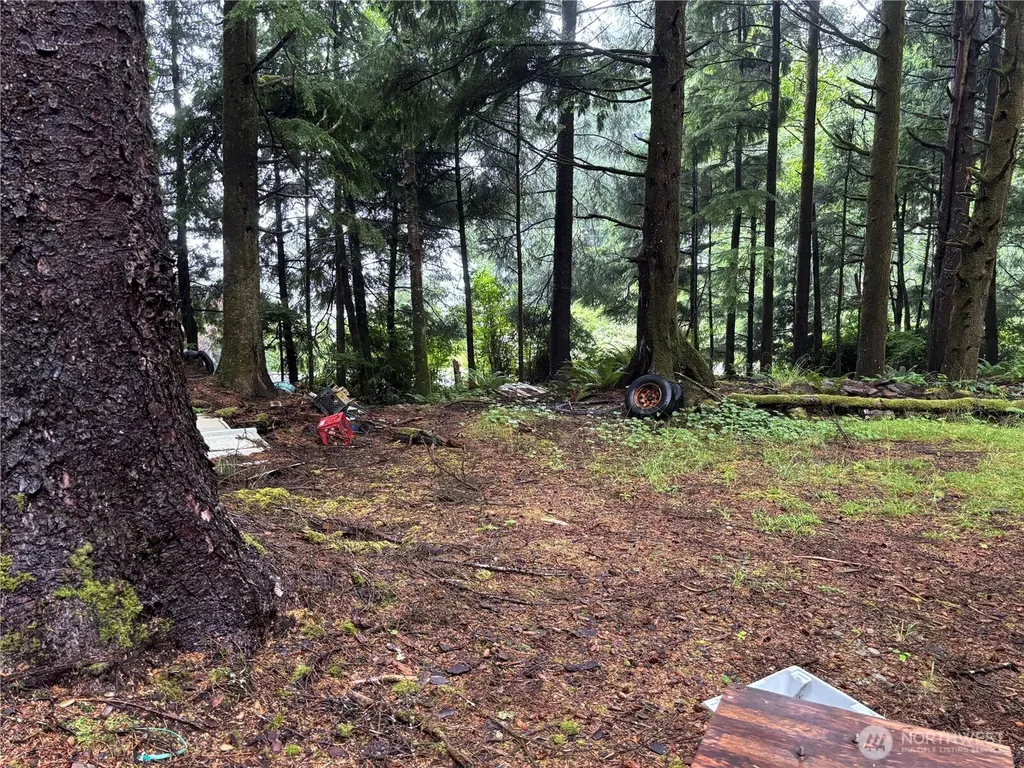 33 Oceanview Drive N Taholah WA 98587