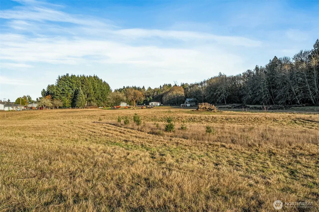 0 Collins Road Toledo WA 98591