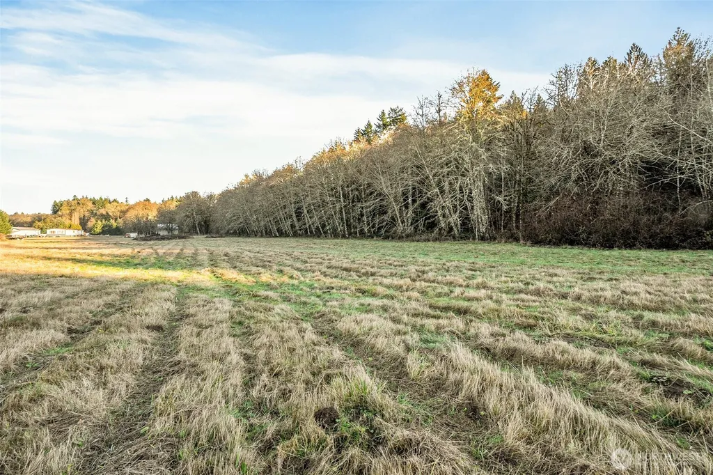 0 Collins Road Toledo WA 98591