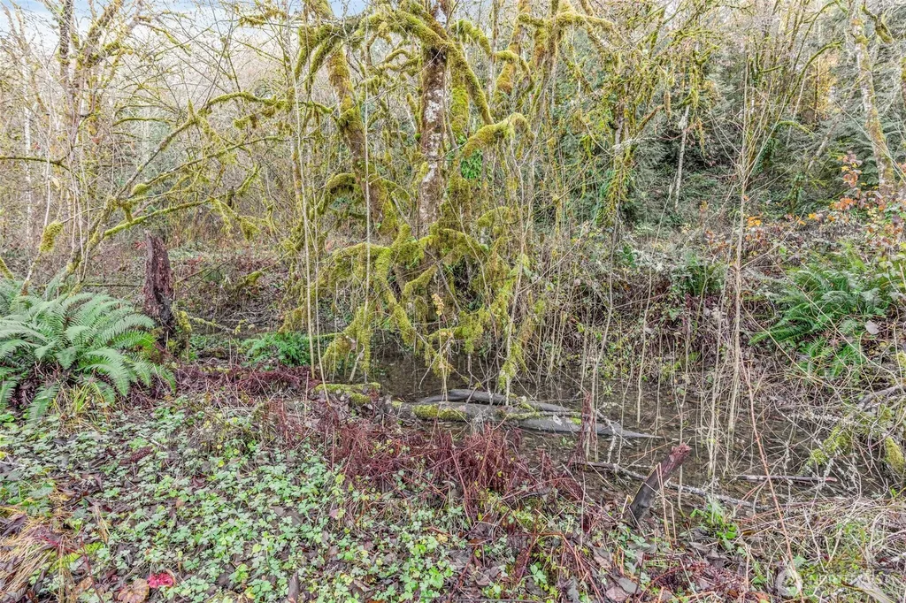 0 Collins Road Toledo WA 98591