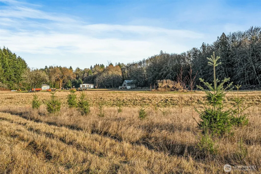 0 Collins Road Toledo WA 98591