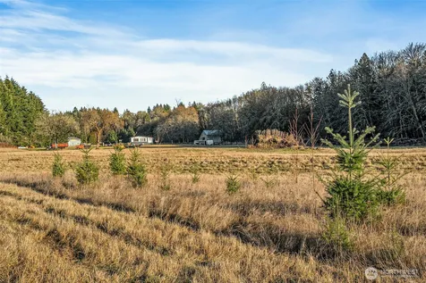 0 Collins Road Toledo WA 98591