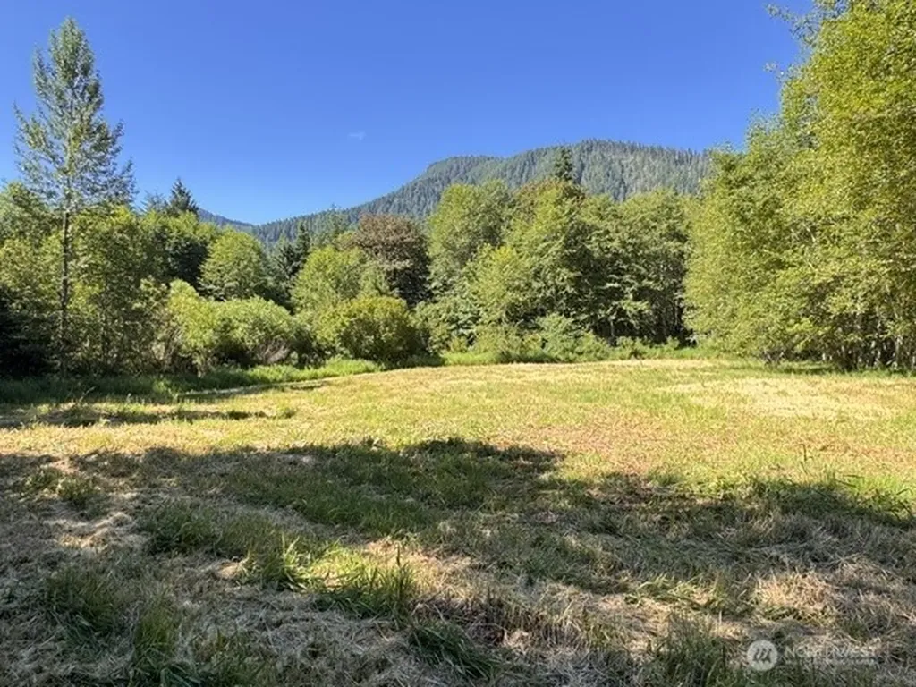 0 Pleasant Valley Road Morton WA 98356