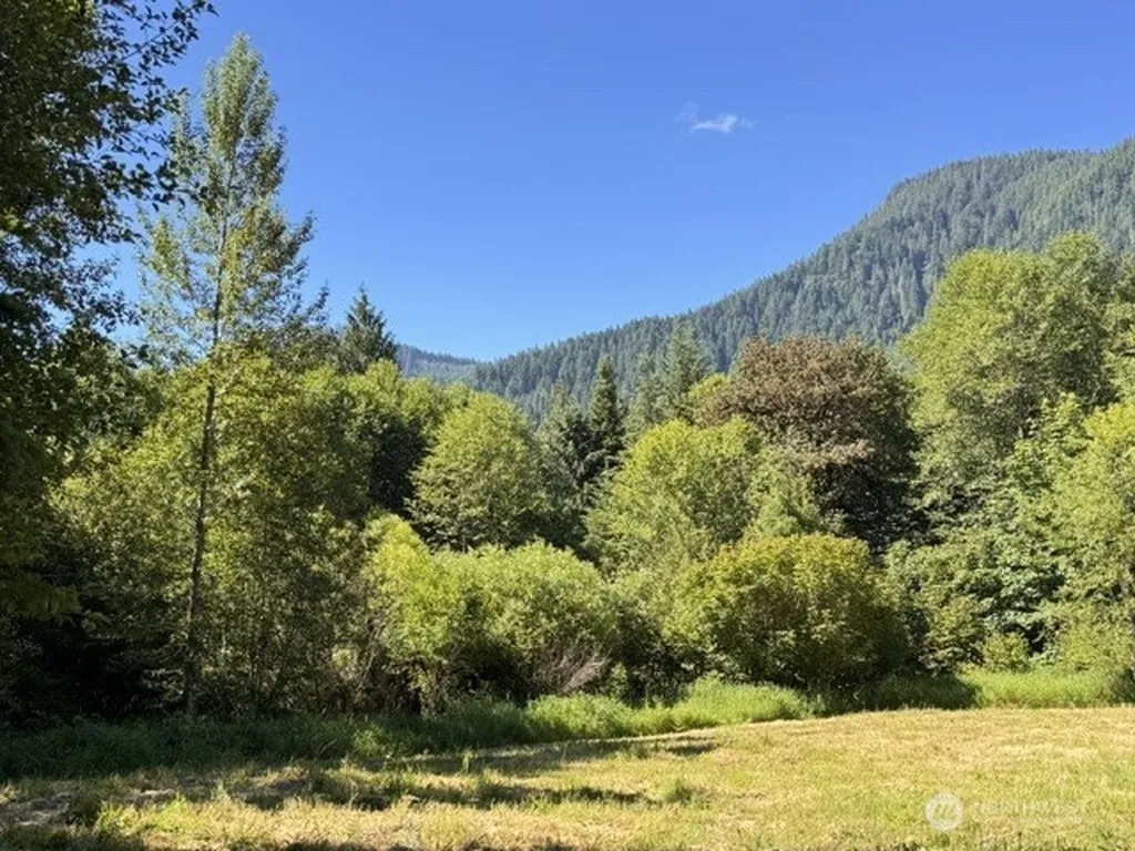 0 Pleasant Valley Road Morton WA 98356