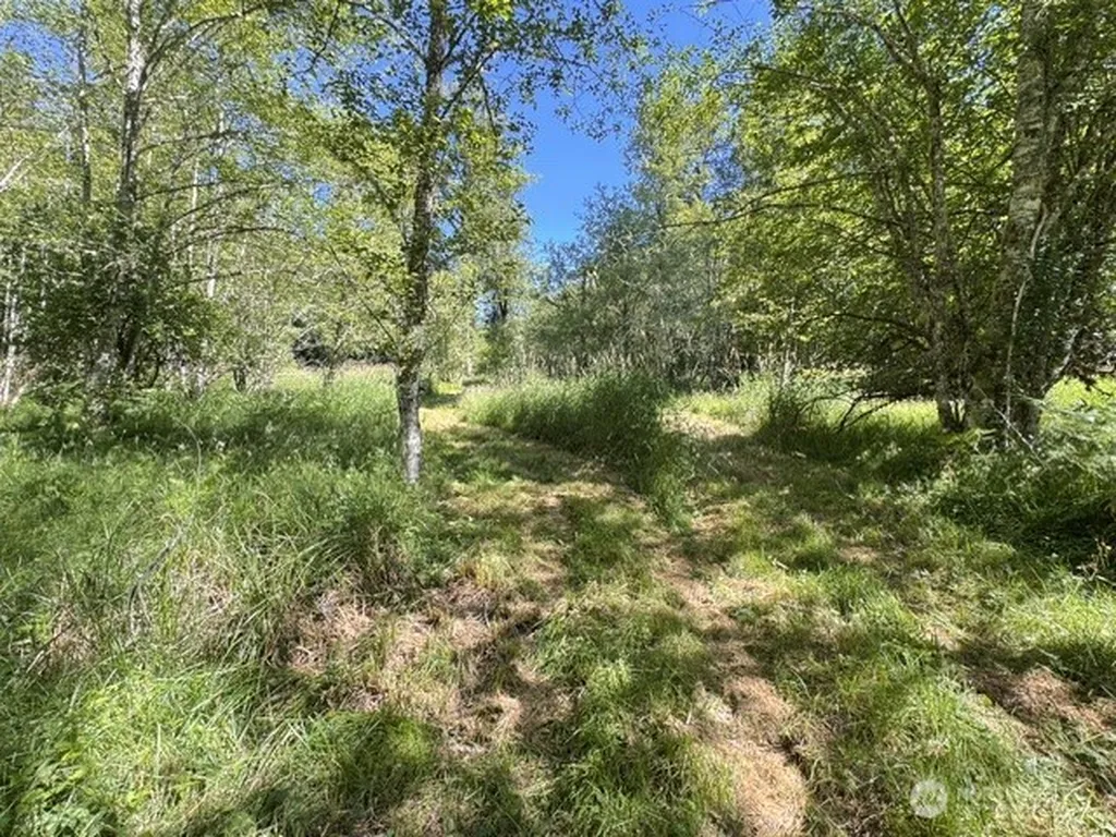 0 Pleasant Valley Road Morton WA 98356