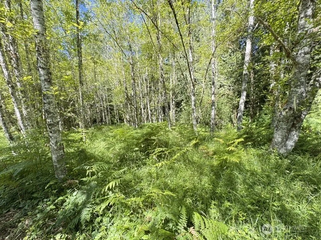 0 Pleasant Valley Road Morton WA 98356