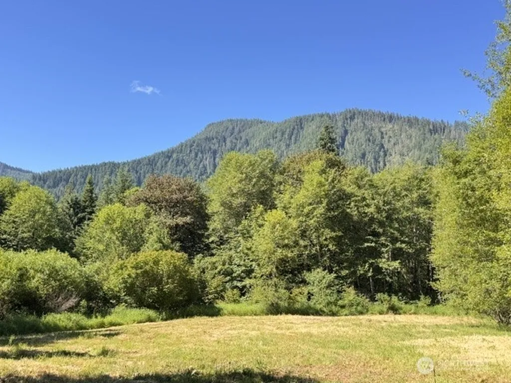 0 Pleasant Valley Road Morton WA 98356