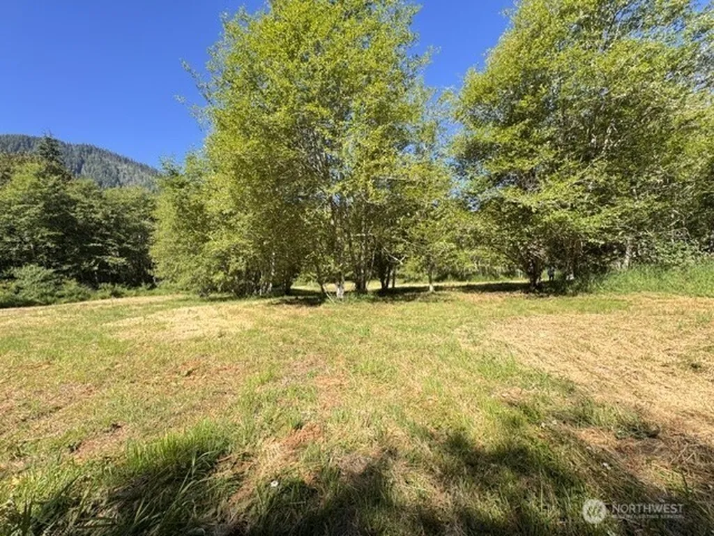 0 Pleasant Valley Road Morton WA 98356