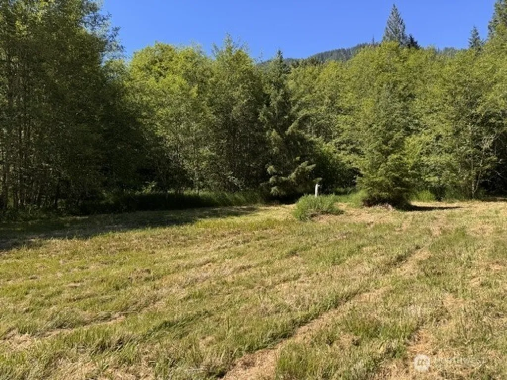 0 Pleasant Valley Road Morton WA 98356