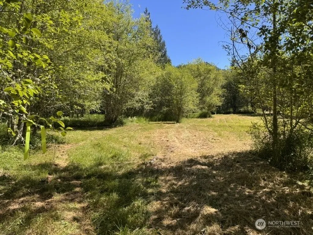 0 Pleasant Valley Road Morton WA 98356