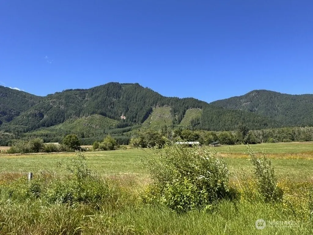 0 Pleasant Valley Road Morton WA 98356