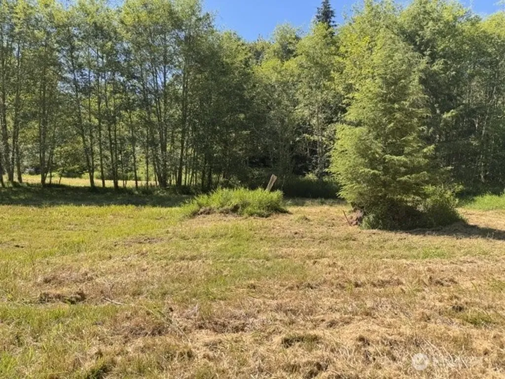 0 Pleasant Valley Road Morton WA 98356