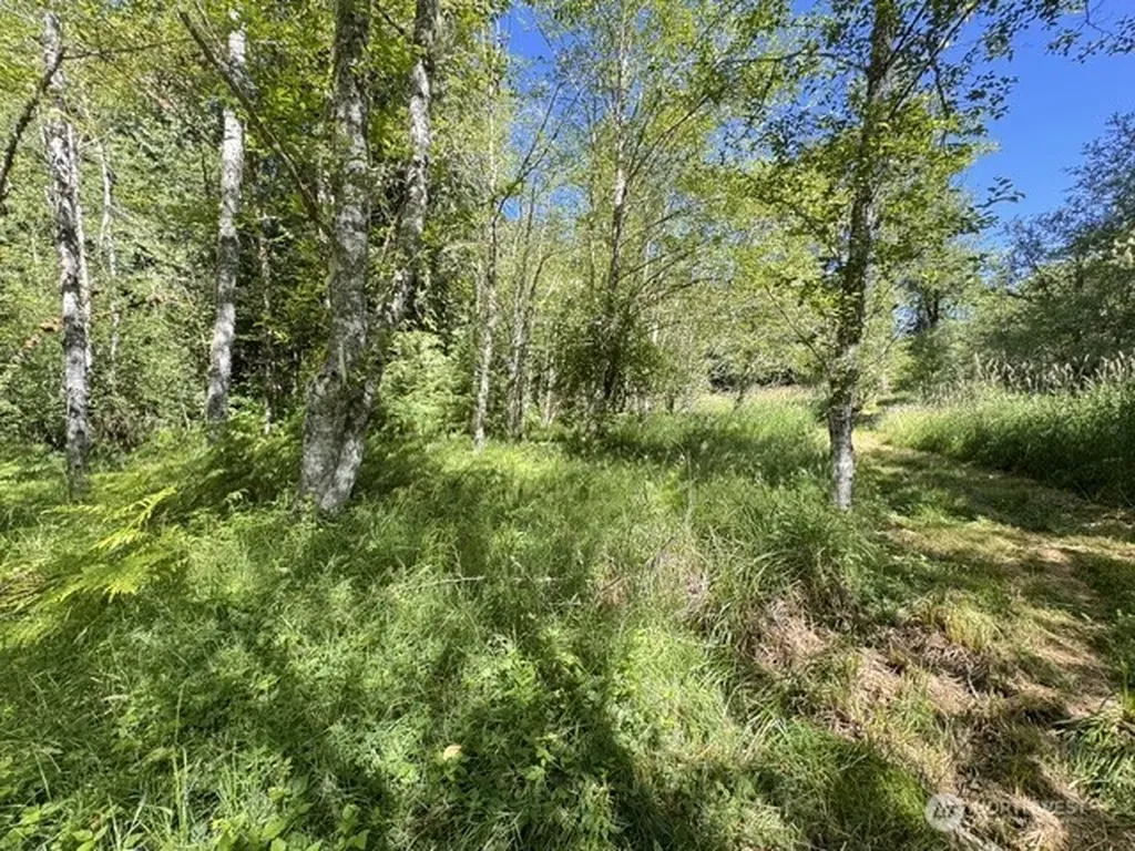0 Pleasant Valley Road Morton WA 98356