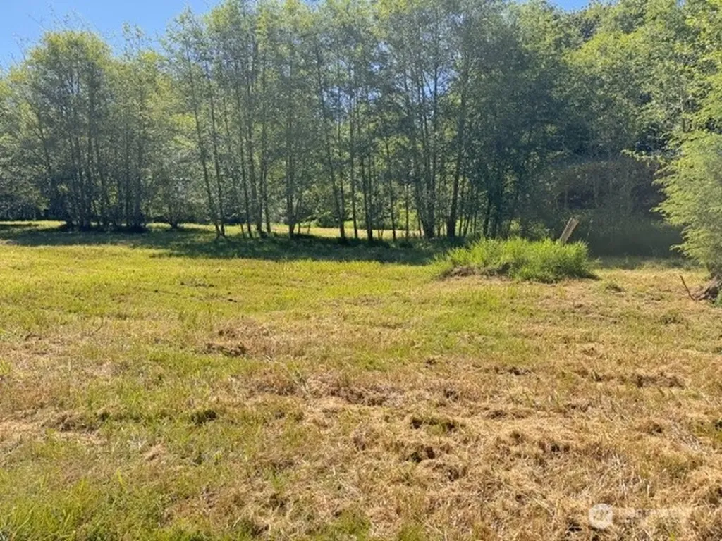 0 Pleasant Valley Road Morton WA 98356