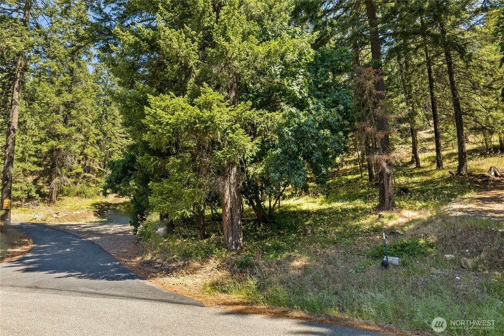 0 Lava Lane Ronald WA 98940