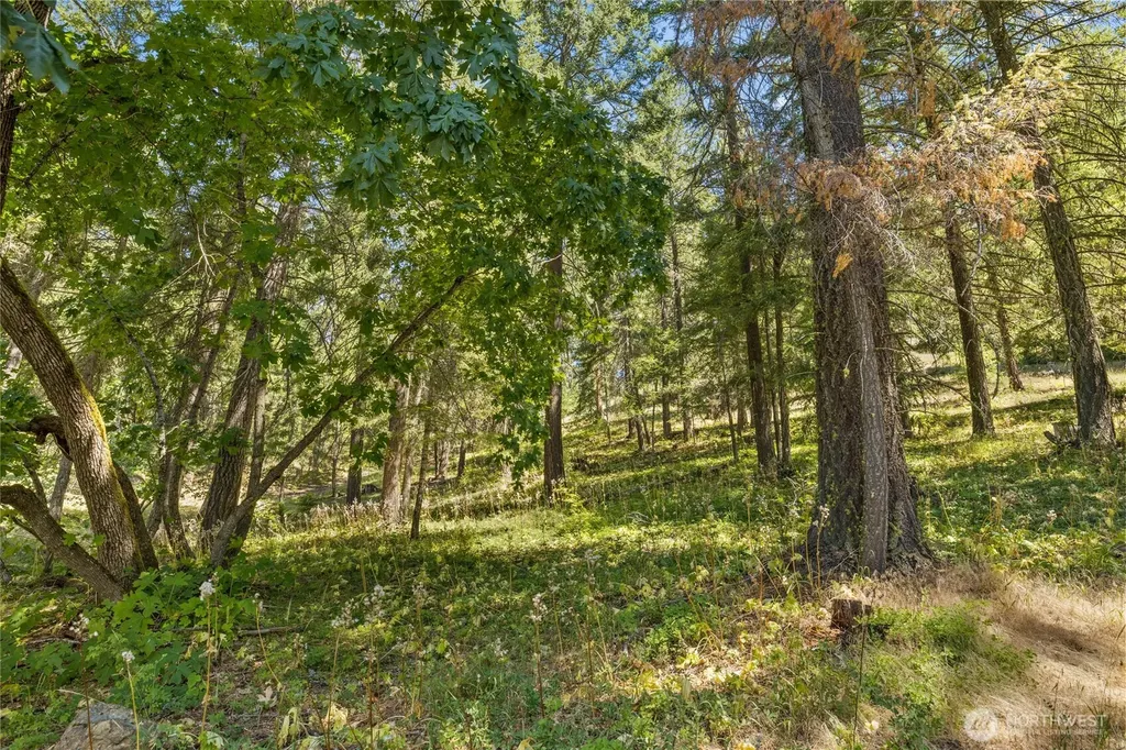 0 Lava Lane Ronald WA 98940