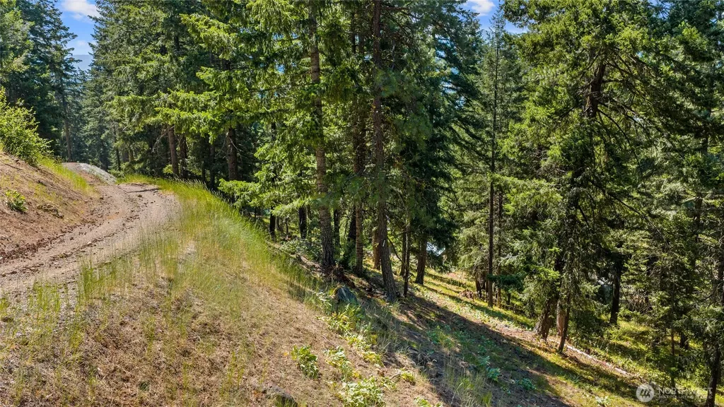 0 Lava Lane Ronald WA 98940