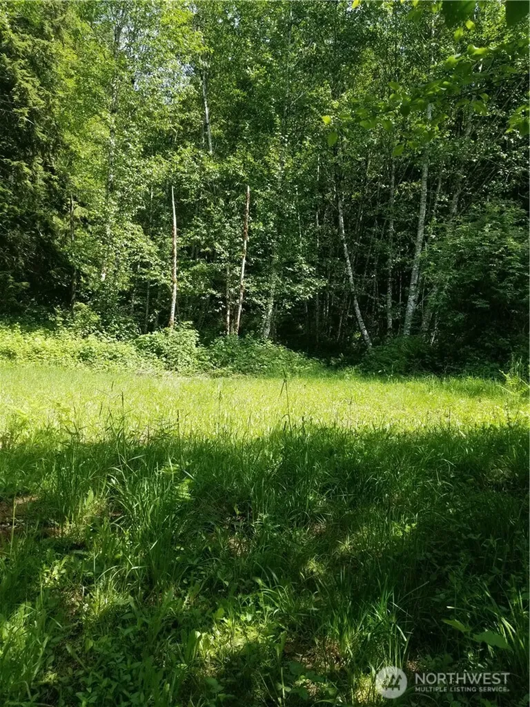 0 Garneys Road Kelso WA 98626